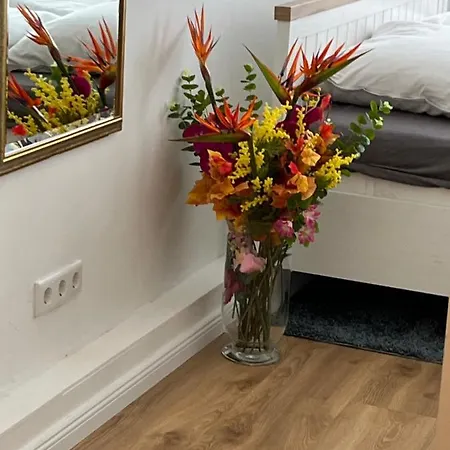 Moderne In Der Innenstadt Von Apartment Bad Oeynhausen