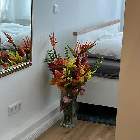 Moderne In Der Innenstadt Von Apartment Bad Oeynhausen