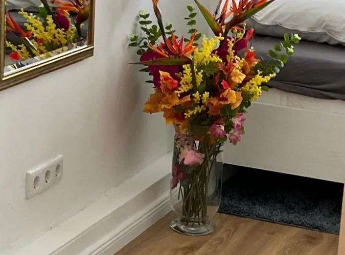 Moderne In Der Innenstadt Von 公寓 巴特恩豪森