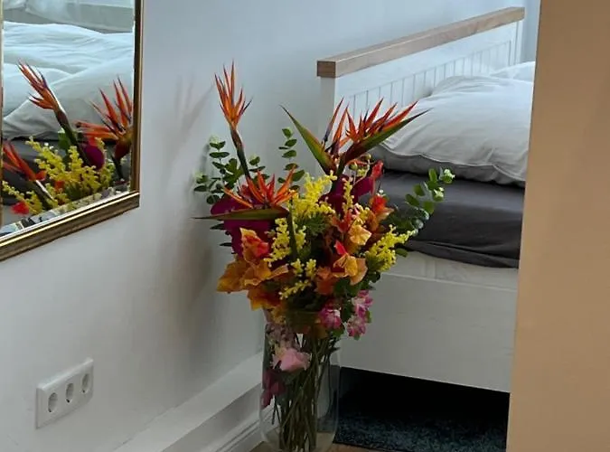 Moderne In Der Innenstadt Von 公寓 巴特恩豪森